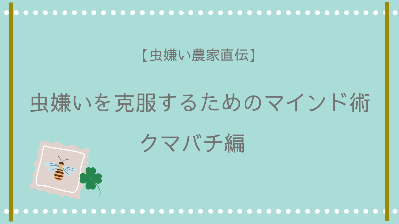 虫嫌いを克服するためのマインド術 クマバチ編 農家直伝 ことはログ